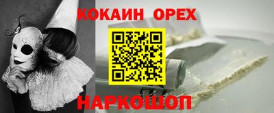 гидропоника Новозыбков