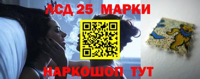 гидропоника Новозыбков