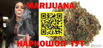 гидропоника Новозыбков