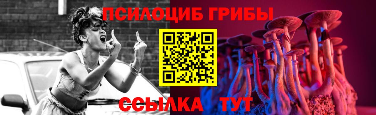 Псилоцибиновые грибы Psilocybe Владикавказ